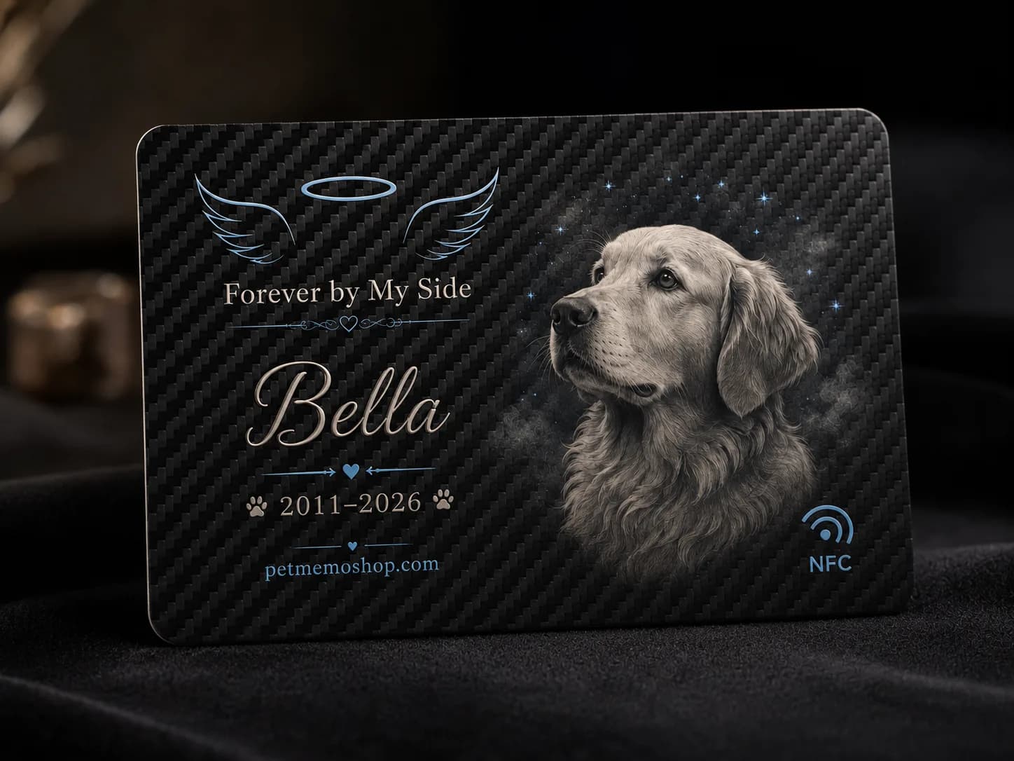 BELLA
